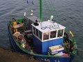 2004 Port Navalo à pied (10)